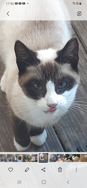 What's your DCat up to today? (Thread 8)