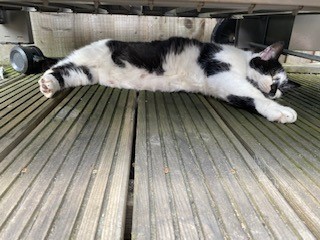 Furminator