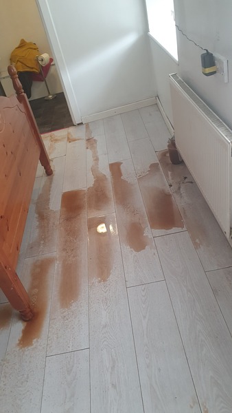 We've gone on holiday by mistake