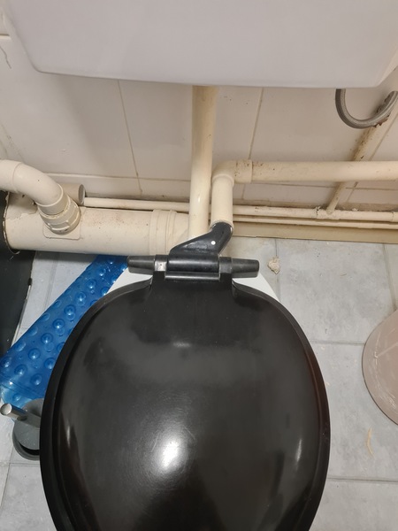 Is this... a ventilated toilet seat?
