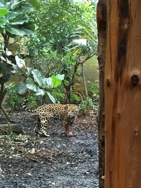 Asked to move out of the way in the zoo