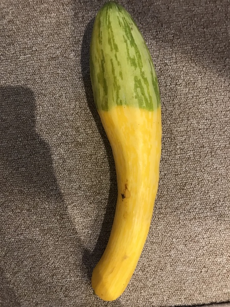 What on earth is this fruit or veg?! (Pic)