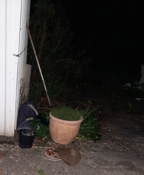 To not want an awake child around at 11pm when I'm on holiday PART DEUX