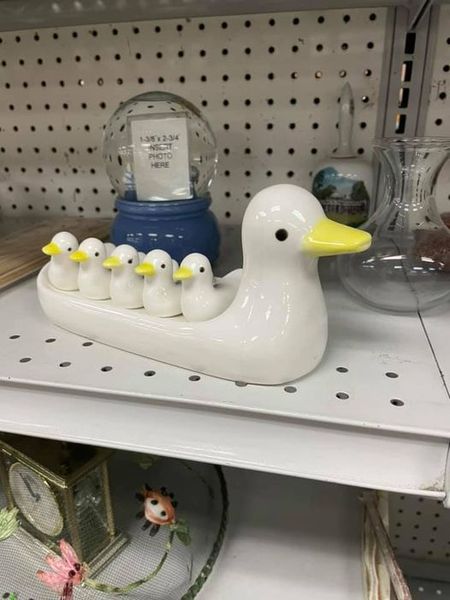 Getting your ducks in a row?
