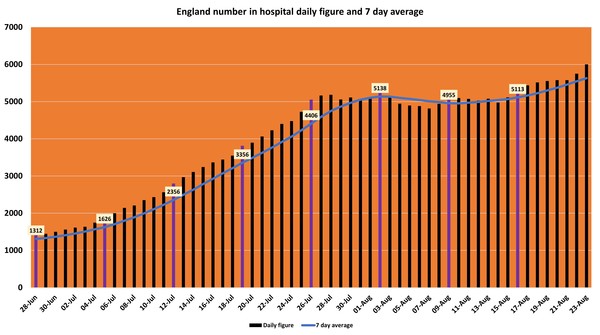 Data, Stats & Daily Numbers started 5th August 2021