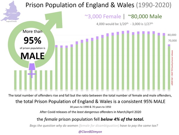 Trans prisoners in Ireland:  update