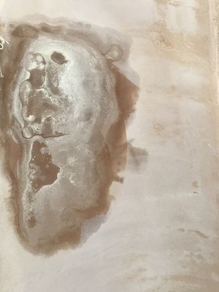 What is this weird patch on my newly plastered wall?