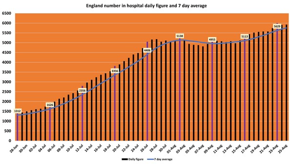 Data, Stats & Daily Numbers started 5th August 2021