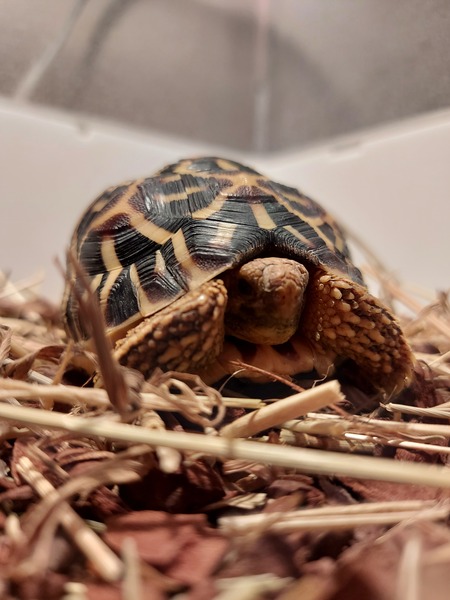 ADs don't want your freedom, ADs don't want to play around