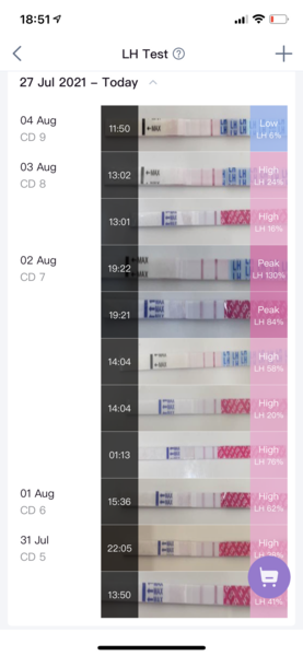 Miscarriage: Dr considers blood HCG negative but HPT still faint positive