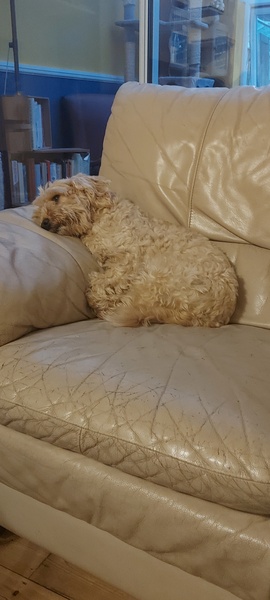 Knit, Crochet and Natter 6: Where there's a wool there's a way