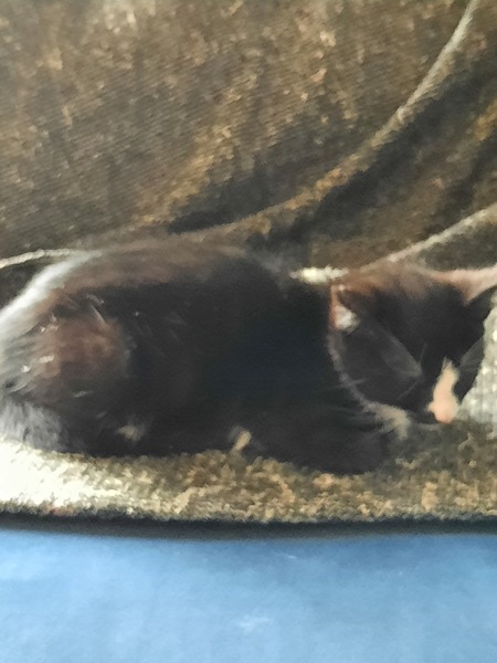 New little friend arrived yesterday!