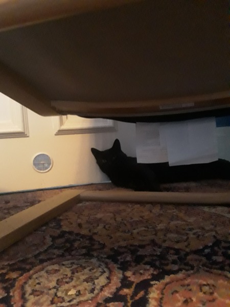 New rescue still hiding a week on...