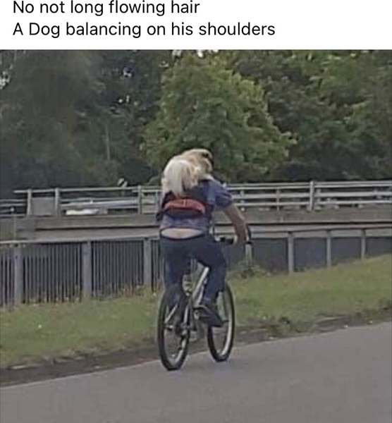 Strangest thing you've seen someone do in public?