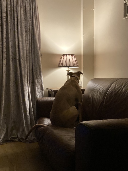 Ideas to make the coming autumn lovelier ( or at least a little more bearable)