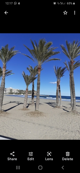 Live by the sea?