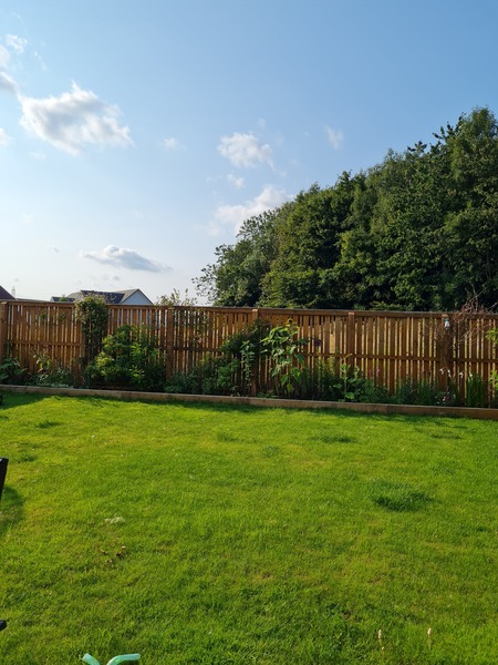 What can I fill this flowerbed with?