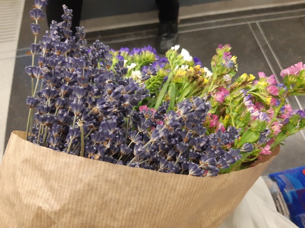 What are these flowers called, please?