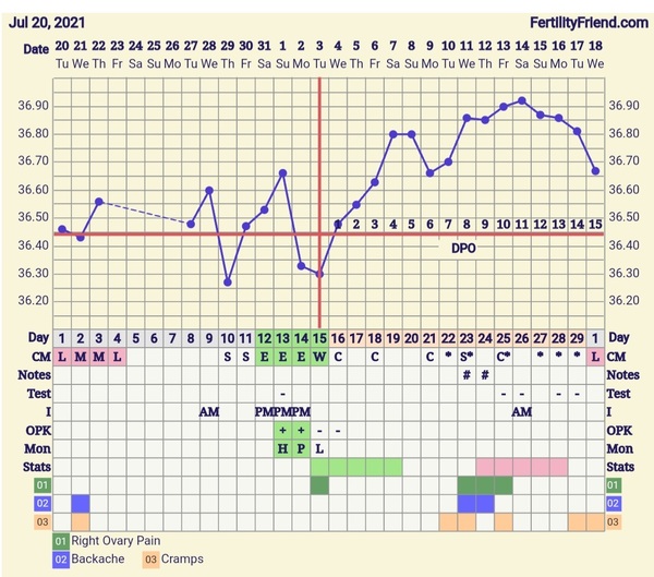 9DPO Symptom Spotting