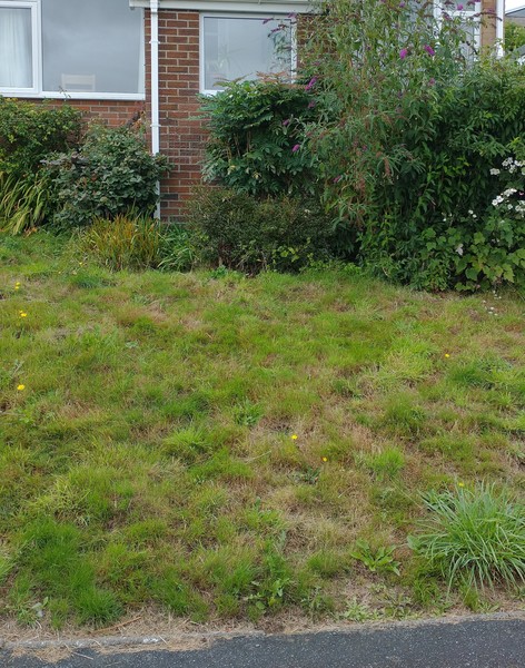 Can you help me with my front garden please?