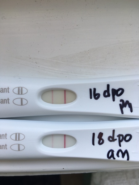 Nightmare FRERs - Line progression