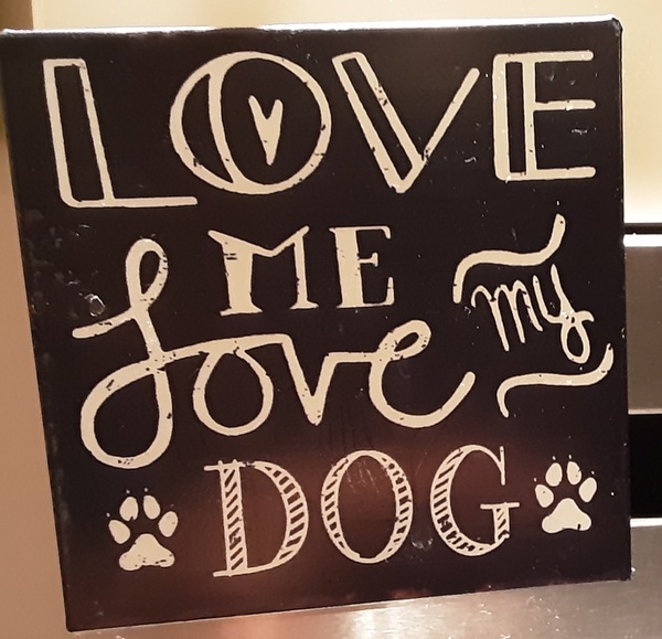 Puppy Survival Thread - August