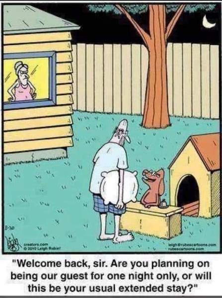 CF. DSD, DSDs mum and dog