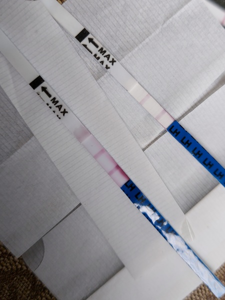 Is this a positive ovulation test?