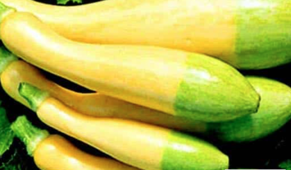 What on earth is this fruit or veg?! (Pic)