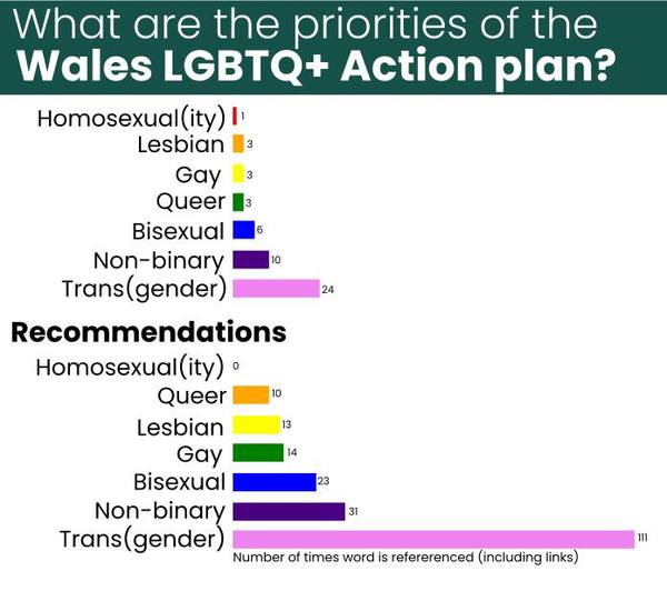 Are lesbians represented in the  Welsh Government's LGBQT Action Plan?
