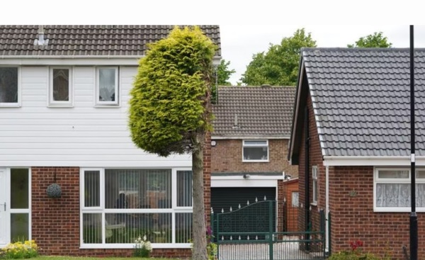 What is reasonable? neighbour/tree etc