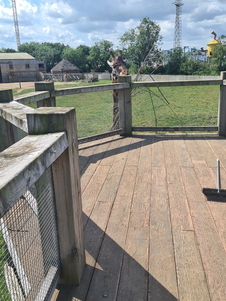 Flamingo Land suitable for a baby?!