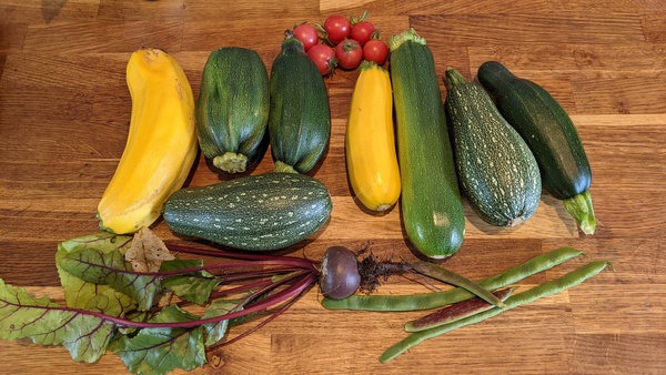 Allotment/Veg patch Thread 17 - onwards and upwards