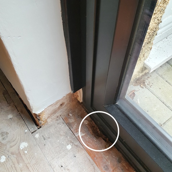 Damp result on survey