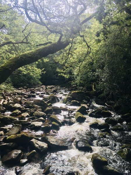 Any Witches Here? Part 14.