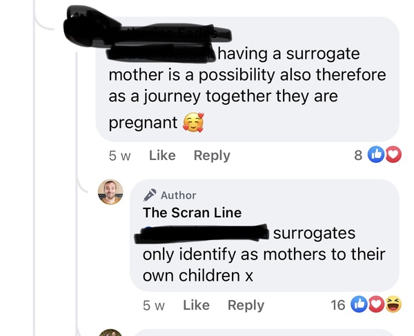WE are pregnant. Surrogacy is a team effort?