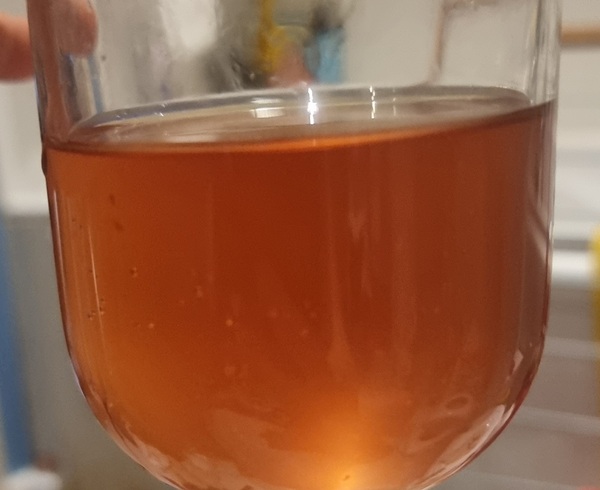 To be worried about blood in wee (tmi! Photo included)