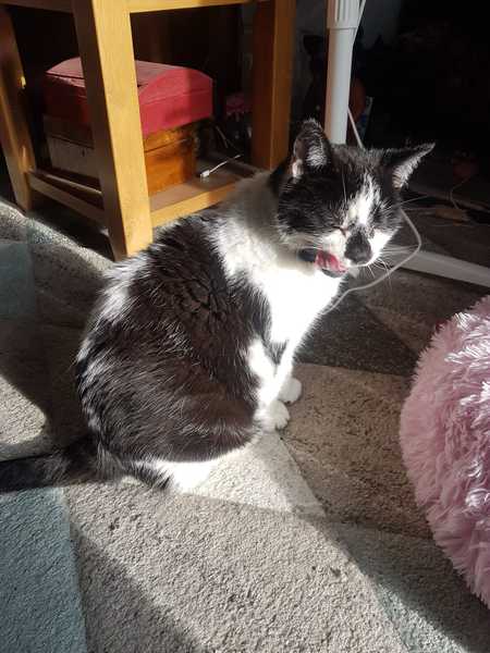 Furminator
