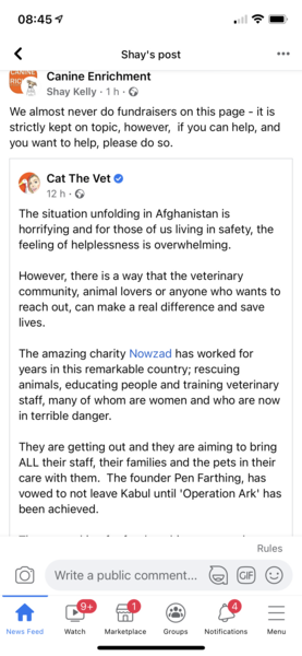 AIBU to ask how to help women and girls in Afghanistan
