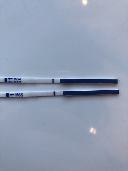 Pregnancy test