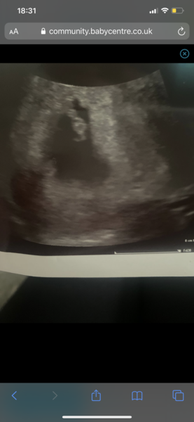 Ramzi theory 6+6 on internal scan