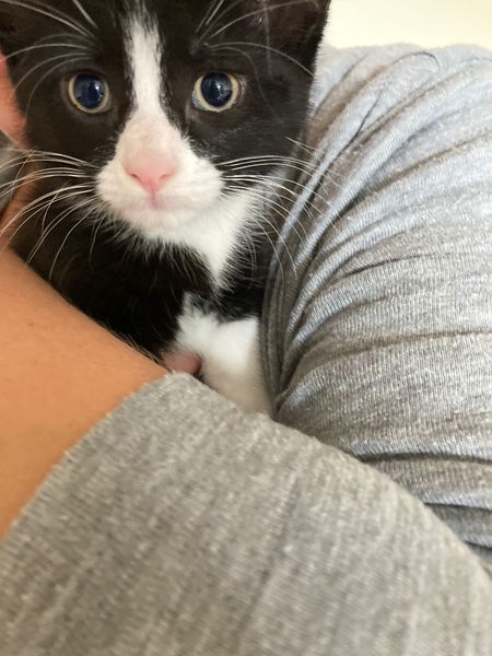 New kitten, am I normal to worry so much?!🤣