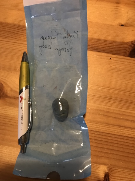 Puppy Survival Thread - August
