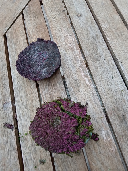 Trapped toddler parents: Inspiration and support needed through the summer hols!!