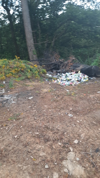 holiday venue burying rubbish- wwyd?