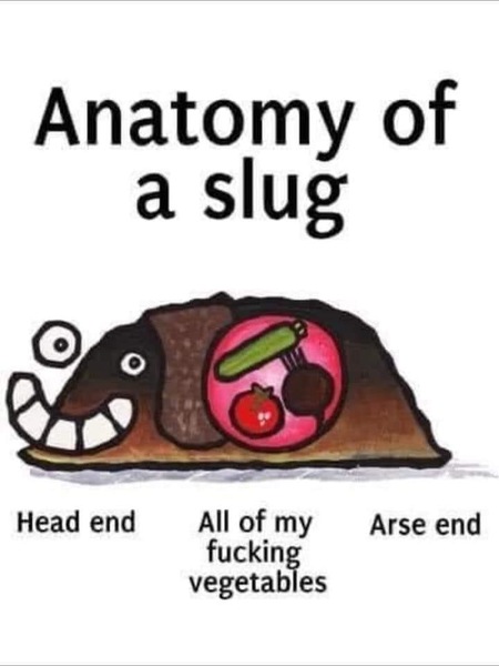 Bastard Slugs and snails