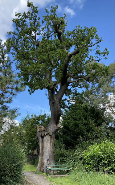 Any Witches Here? Part 15