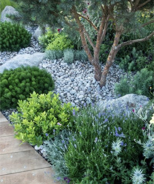 I’d like to recreate this idea, what plants are these?