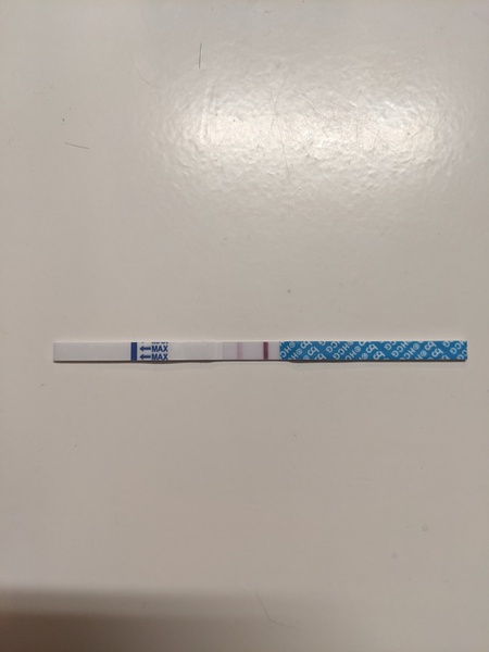 🦕 Catching up - ttc after miscarriage part 7 🦕