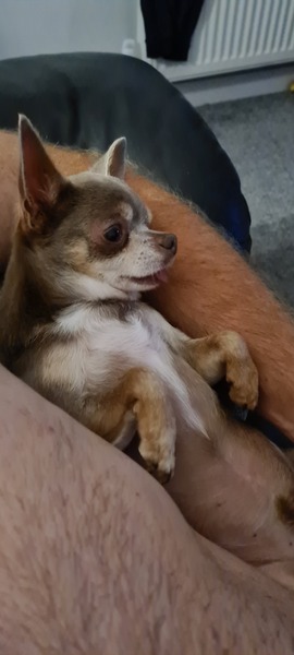 I paid a deposit today